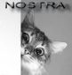 NOSTRA's picture